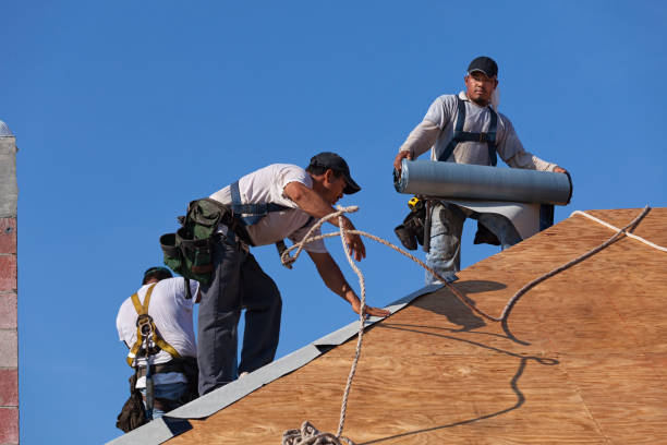 Best Shingle Roofing Installation  in Benton Heights, MI